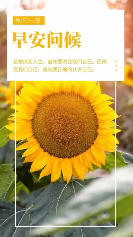 网站被坑财务清算提不了款?揭秘追回被黑资金的必看攻略!