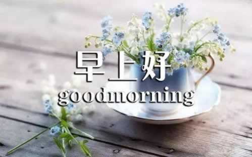 平台提现处理中什么原因不能提现.内容核心(图)