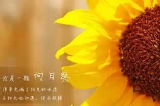注单异常提不了钱？掌握这些方法，轻松应对！怎样破解（图）