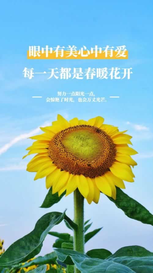 关于【专业处理第三方未支付不给提款】……黑平台内幕揭秘