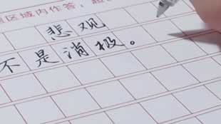 网上被黑银行系统维护.文章导言(图)