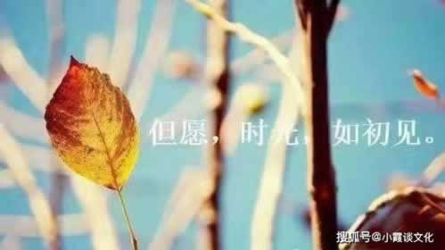 365风控审核成功提款.内容概略(图)