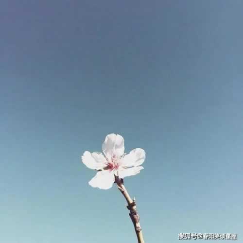 游戏平台被黑一直拖延不给提现无法提款.文章慨括(图)