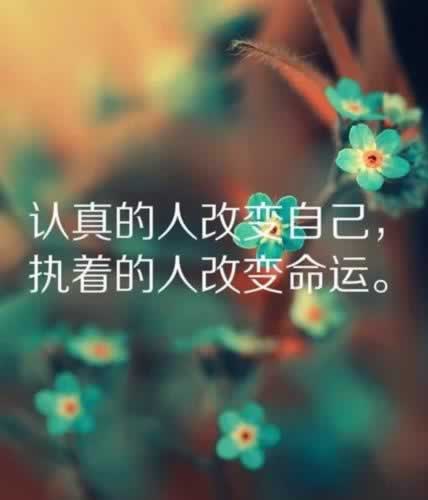网上营前人被黑系统审核出款失败id异常.内容核心(图)