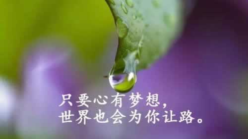 【紧急解答】网上网站提不了款？掌握这5招轻松解决！碰到了如何解决（图）