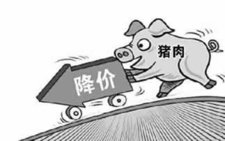 国际网络波动要多久 灵活应对(图)