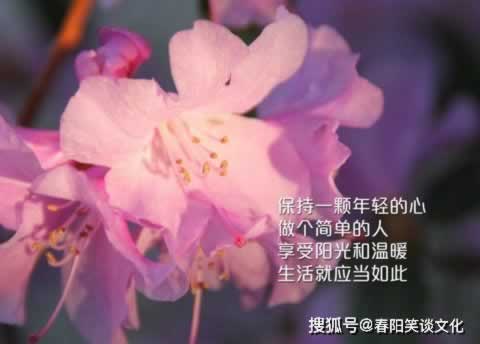 一直让罚流水提不了钱怎么办注意事项.提要(图)