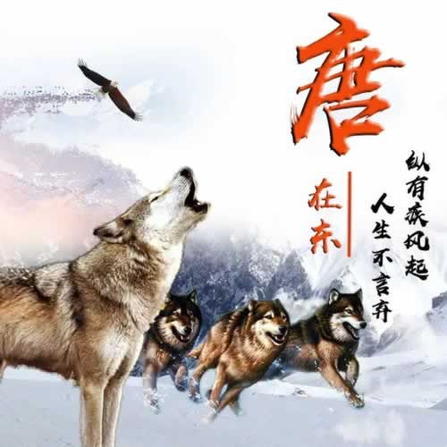 还款系统维护怎么办手续.内容随笔(图)