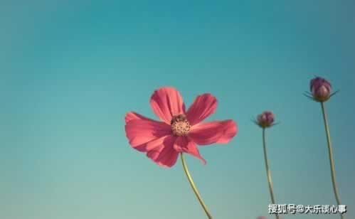 数据无法回传不能提取？揭秘背后的技术难题与应对策略碰到了如何面对（图）