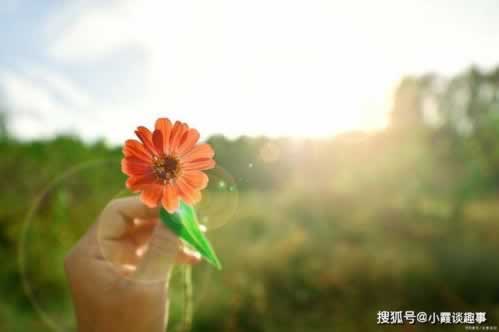 审核不通过多久可以恢复.引题(图)