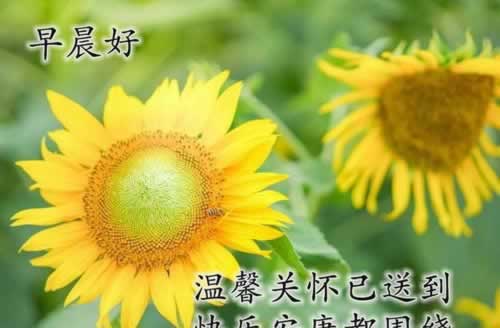 被黑了取不出钱怎么办注意事项.文章概览（图）
