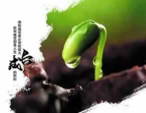 黑平台是否还能为警方提供有用信息？碰到了如何处理（图）