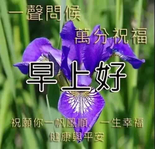 在黑网账户违规下注·原来大家都是这么解决的