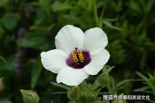 被黑黑平台通道维护拿回来解决如何追回.侧重点(图)