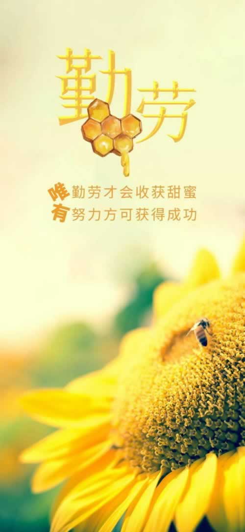 被黑了提不了款？揭秘解决之道，让你轻松应对！要如何避免（图）