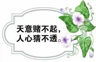 网上游戏被黑后还 清晰思路（图）