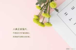 注单延迟提不了款怎么办这里有办法.概括(图)