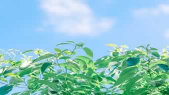 网上平台提款注单异常怎么回事.文章开头语(图)