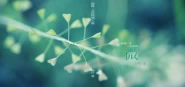 遇到平台提现失败财务结算审核数据异常教你怎么解决(图)