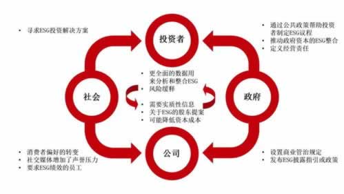 受国际网络波动影响.内容狮评(图)