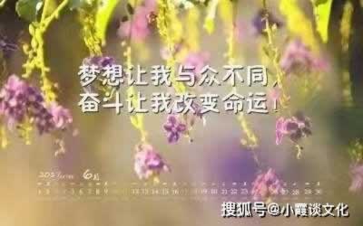 注单延迟提不了款？揭秘高效解决之道，让你的资金安全无忧！