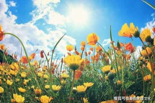 网上平台提款审核很久 综合应对（图）