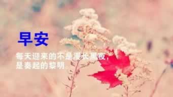 平台被黑不给提款?揭秘账号涉嫌维护审核风控背后的真相怎么办才好(图)