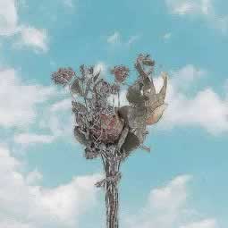 在网上玩平台赢了提现不到账户说我数据未回传.内容慨述（图）