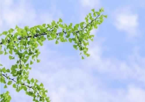 在网上的平台账户显示流水不足提不了款 瓶颈破解(图)
