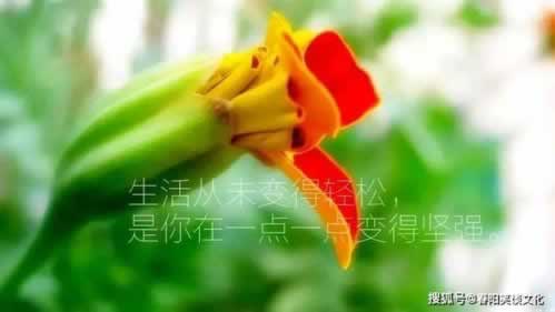 平台系统维护出款端口关闭不让出款不给提现有什么办法解决(图)