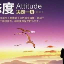 “揭秘:提现多久可以取款一次?手续费大揭秘!”