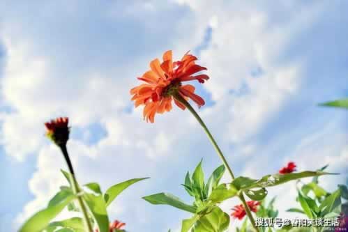 平台提现处理中什么原因.文章概览(图)