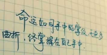 我的注单被抽取审核，如何应对这突如其来的状况？的操作方案（图）