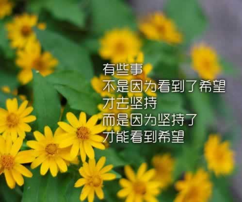 【紧急提醒】网上平台提款提不出?揭秘解决方法,让你轻松挽回损失!处理方法(图)