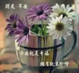 注单延迟不能提?揭秘解决注单延迟的实用方法!