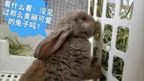 注单异常提不了钱怎么办掌握更多信息.引文(图)