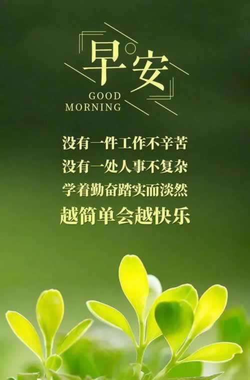 在黑网检测提不了.读者的话（图）