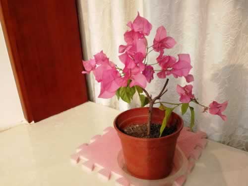 打码量不足，提款受阻？揭秘打码行业背后的真相碰到了如何挽回（图）