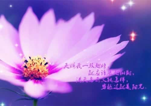 系统审核不给提现？揭秘解决提现难题的秘诀！