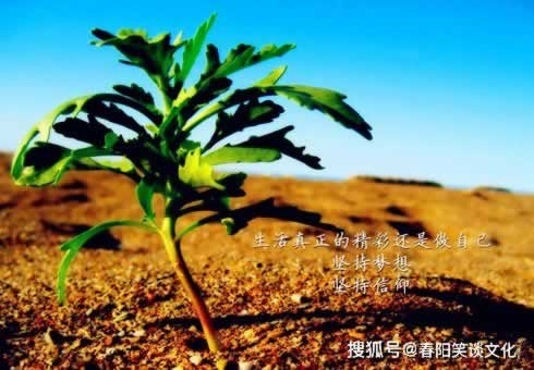 365平台不给提现怎么办.小序(图)