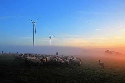部分取款通道维护怎么办.小编心得(图)