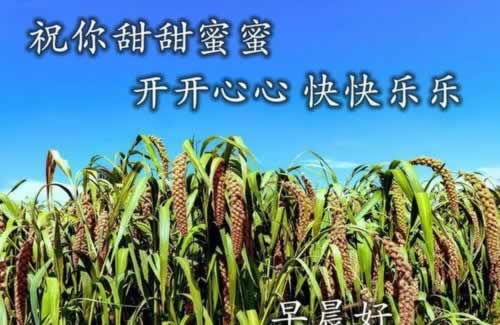 【揭秘】被黑了有取出来的吗?揭秘网络黑产背后的秘密教你怎么挽回(图)