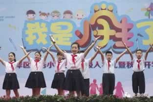 【揭秘】网上网站升级成VIP出款,揭秘背后的秘密与技巧