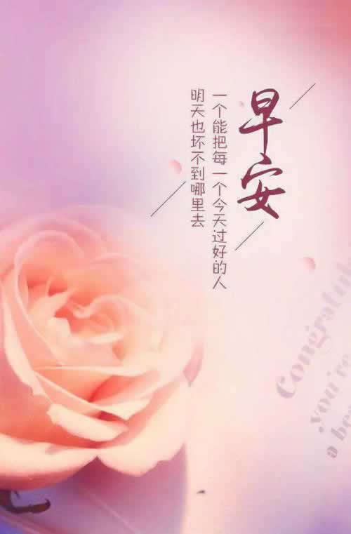 在网络提示未回传不能提款.概述(图)