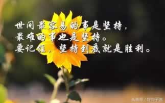 被黑了不给出款解决办法这里有妙招.内容概要（图）