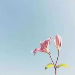 在黑平台上通道维护升级中提现失败 矛盾化解（图）