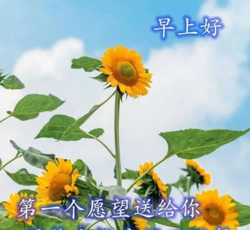 平台系统维护不给提款怎么办.提要(图)