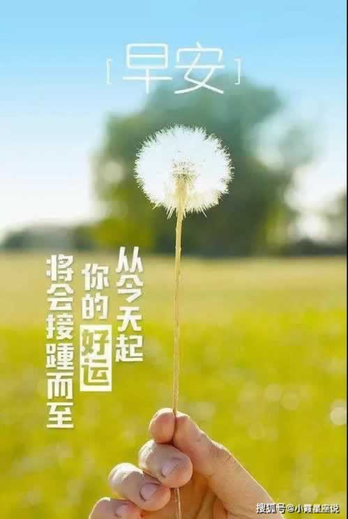在黑平台出现被黑不给提现怎么办呢.内容概略(图)