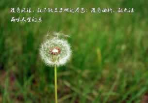 网站被黑维护不让出款怎么办.读者的话(图)