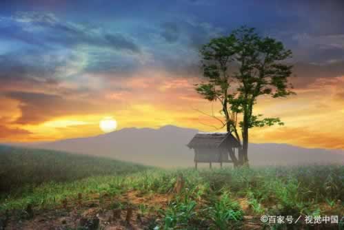 【揭秘】网站被坑操作出款成功却不到账?揭秘背后的真相,教你如何应对!